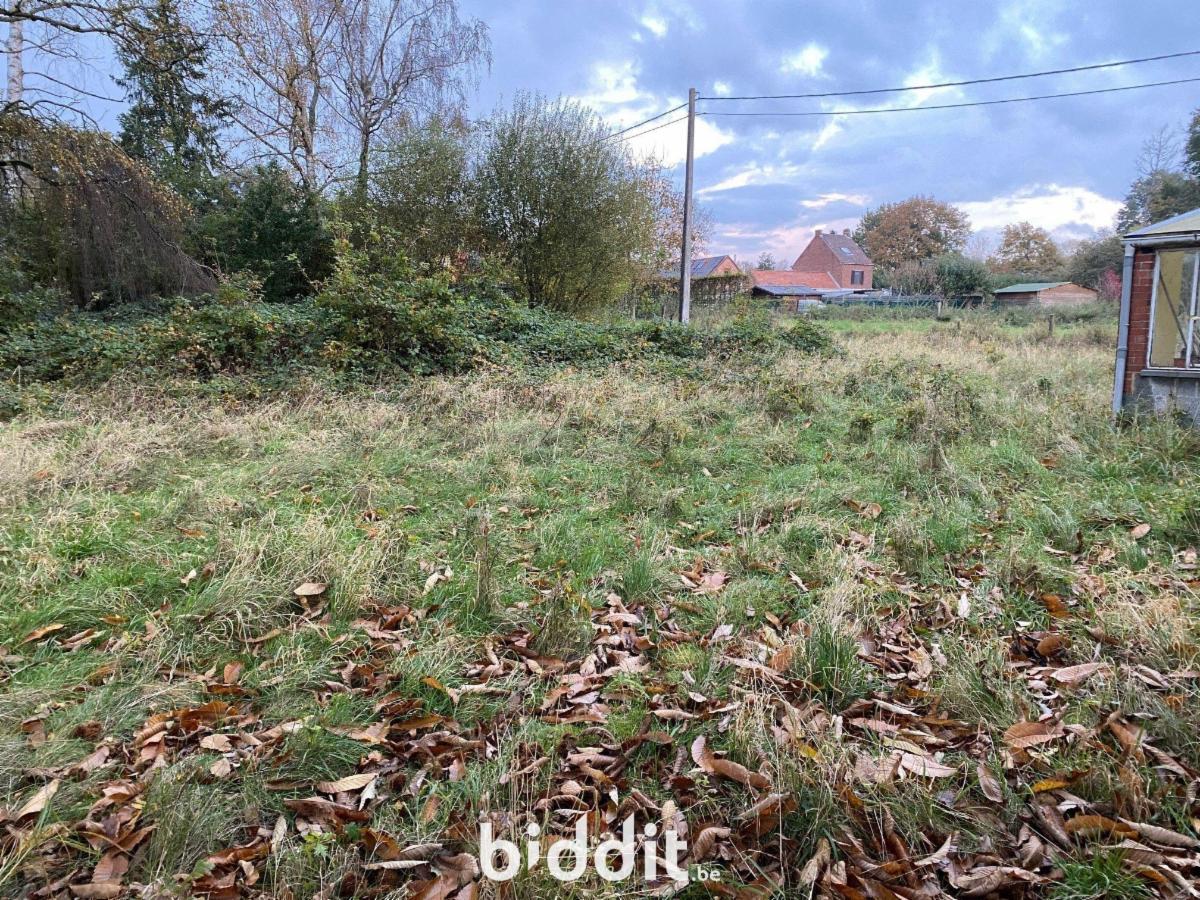 photo 7 du bien 171623