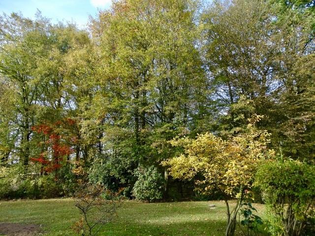 photo 1 du bien 100916