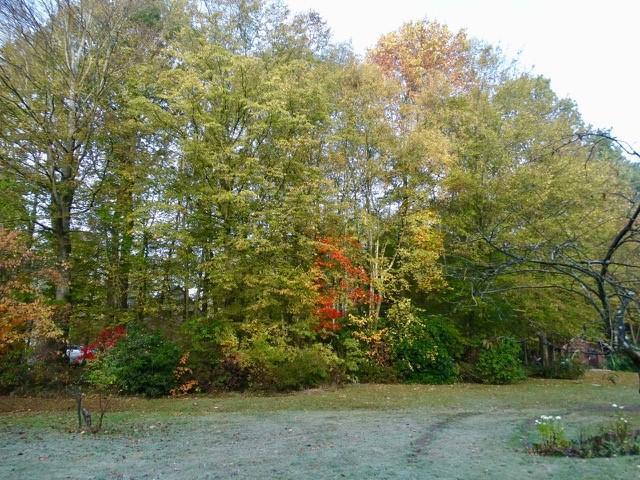 photo 2 du bien 100916