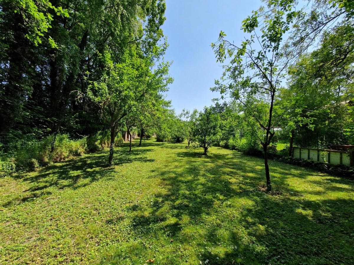 photo 18 du bien 122003