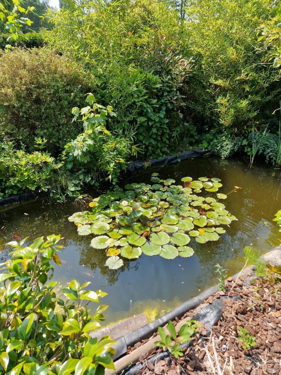 photo 28 du bien 122003