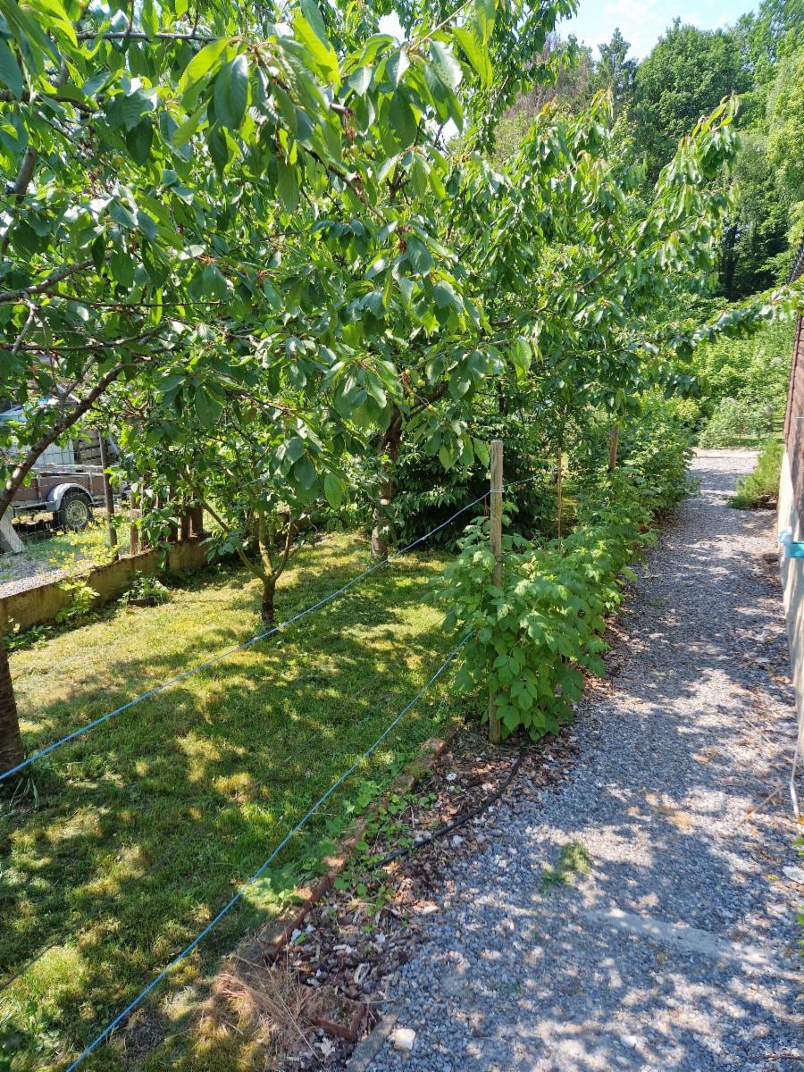 photo 29 du bien 122003