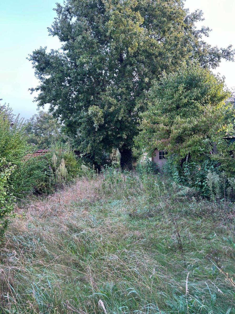 photo 13 du bien 142220