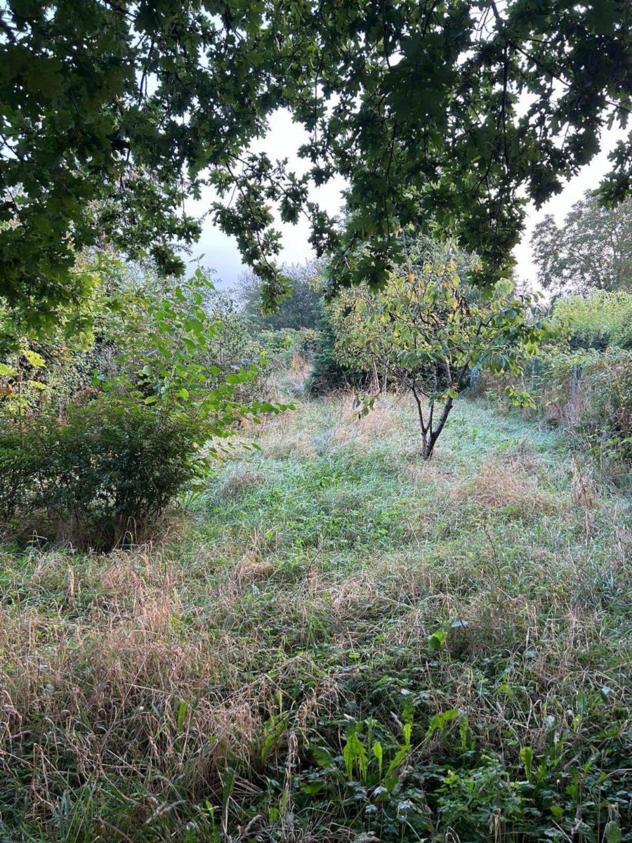 photo 14 du bien 142220