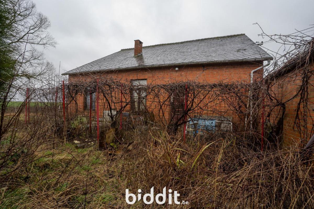 photo 1 du bien 181146