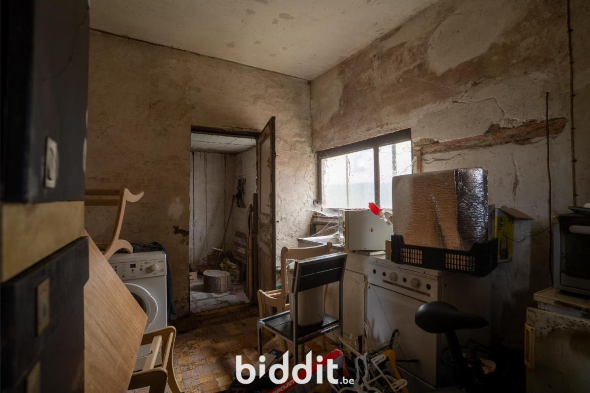 photo 4 du bien 181146