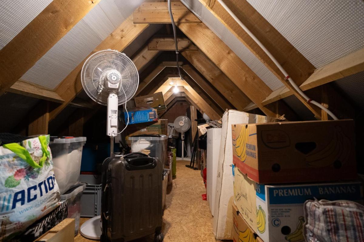 photo 17 du bien 181430